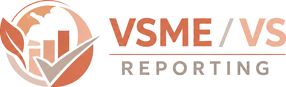 VSME / VS Reporting